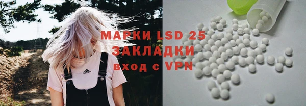 гидра Инсар