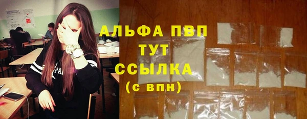 гидра Алексеевка
