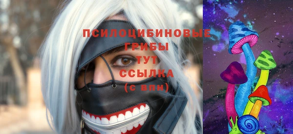 героин Абаза