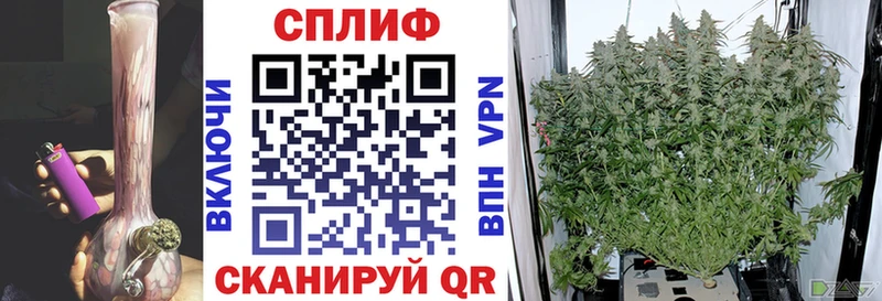 Марихуана Amnesia Хадыженск